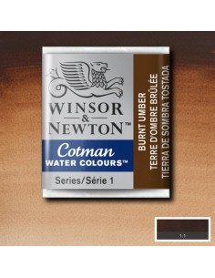 W&N ACUARELA COTMAN 1/2 GODET TIERRA SOMBRA TOSTAD