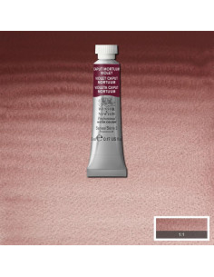 WN PWC 5ML VIOLETA CAPUT MORTUUM