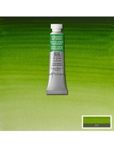 WN PWC 5ML VERDE VEJIGA PERMANENTE