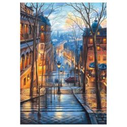 LIENZO PINTAR POR NUMEROS ALEX BOG MOD SG-2480