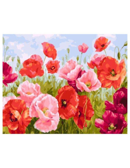 LIENZO PINTAR POR NUMEROS ALEX BOG MOD SG-6008