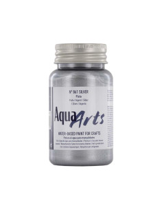 PINTURA TITAN AQUA 100ML METALIZADO PLATA