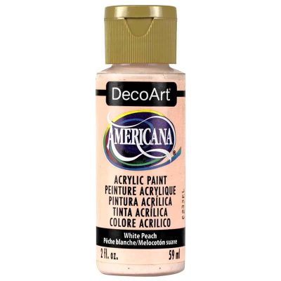 PINTURA AMERICANA 59ml CARNE No 24